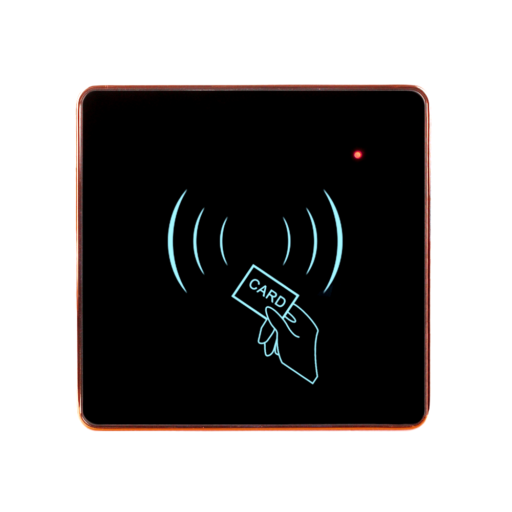 standalone access control.png